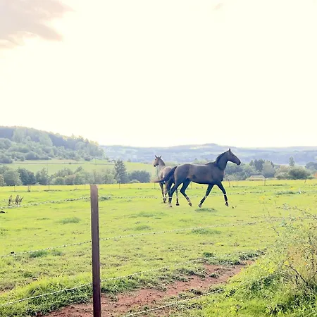 La Usine Du Charme * Saint-Menges